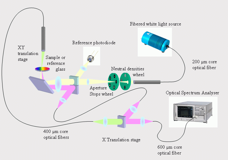 DEDICATED SPECTROPHOTOMETER FOR LOCALIZED TRANSMITTANCE AND REFLECTANCE MEASUREMENTS